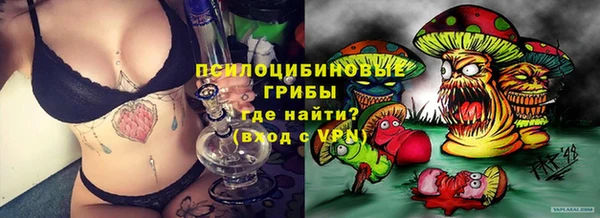 винт Верея