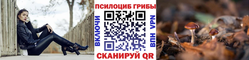 блэк спрут зеркало  Разумное  Галлюциногенные грибы GOLDEN TEACHER  закладка 